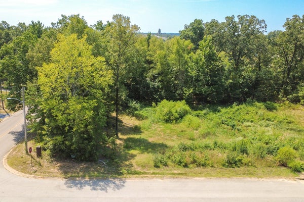ALEX DR, JONESBORO, AR 72401 - Image 270987f7eec0b01adf9a2d392d17e5d9/3329539751