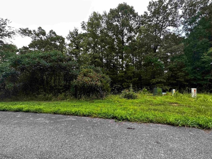 Great Neighborhood to build your dream home at the lake. Undergrounds utilities already in place!  Mineral rights do not convey.