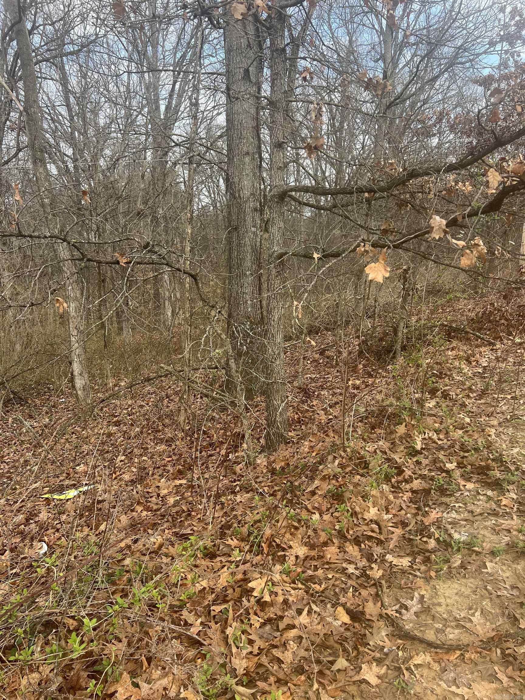 Eastwood Oaks - Land