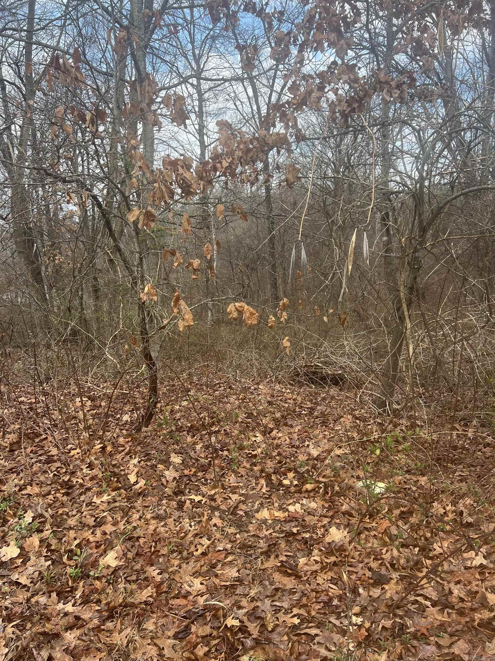 Eastwood Oaks - Land