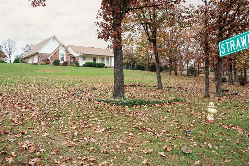 Wild Wood - Residential