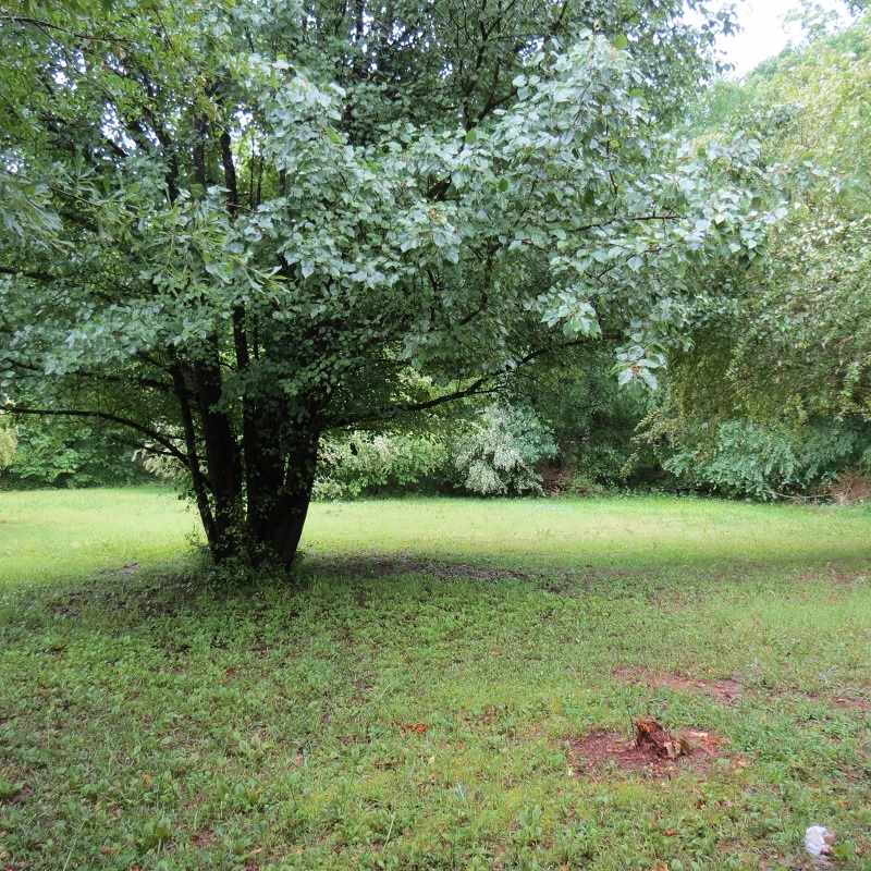 Dial #1 - Residential