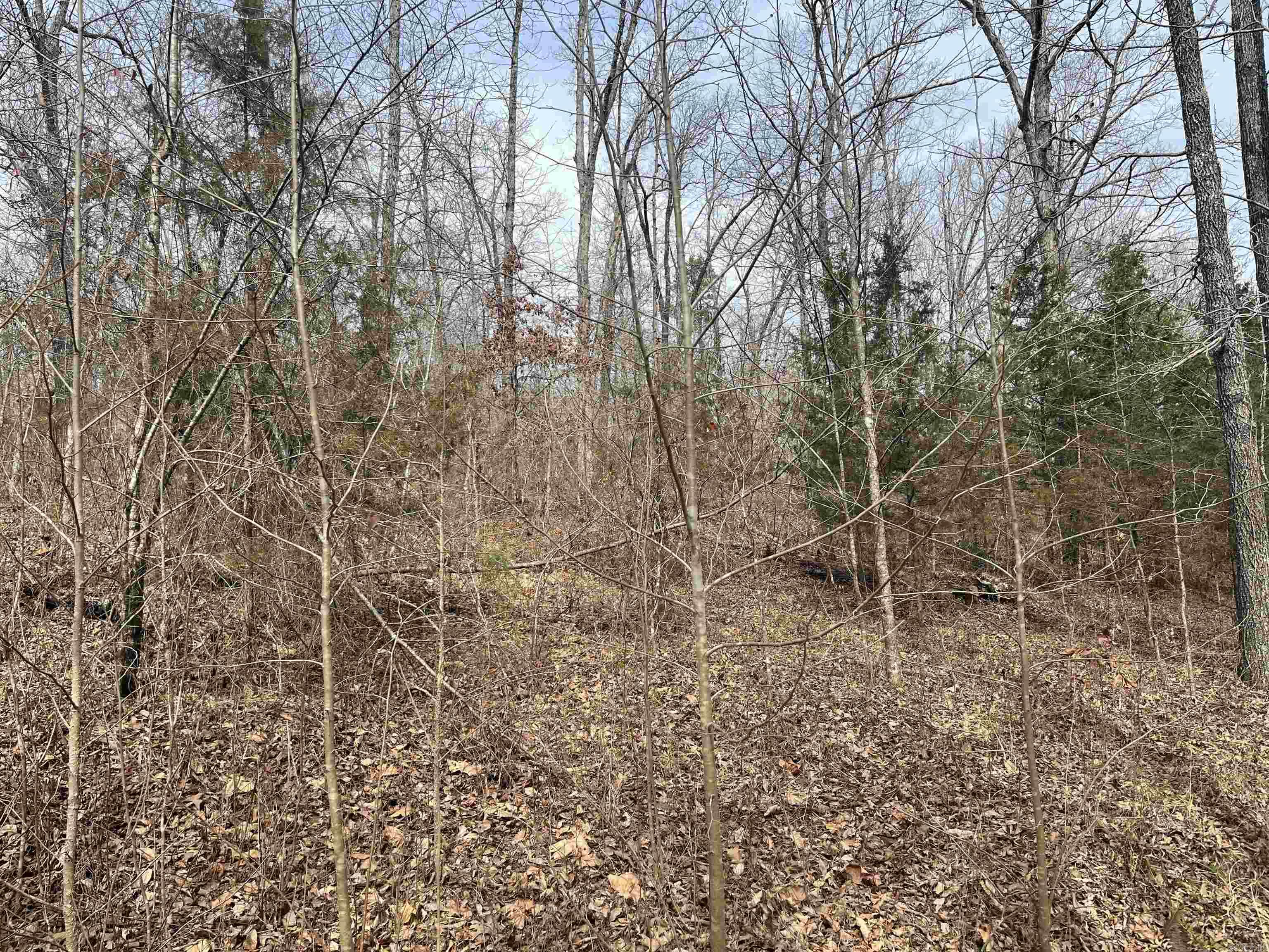 Metes & Bounds - Land