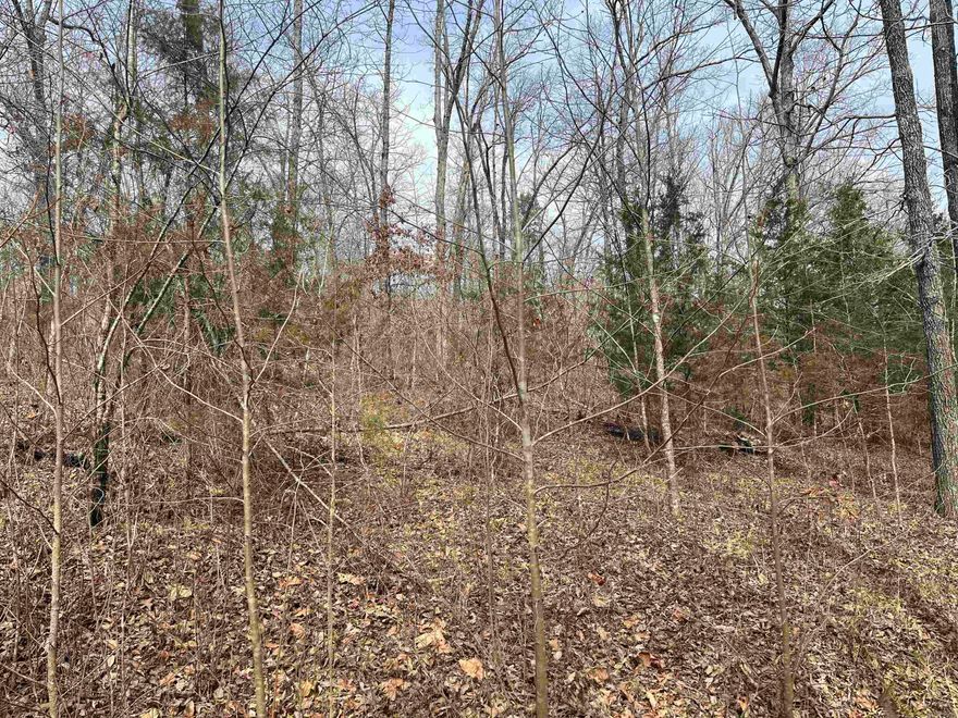 Tucked away in nature, this 13.03-acre property is a rare find for those seeking space, seclusion, and a stunning setting to build your dream retreat. With a seasonal stream winding through the lower portion and a perfect elevated spot for a cabin, this land has everything you need to create your ideal getaway or forever home. Don't miss your chance to own a truly special piece of land where your vision can come to life.