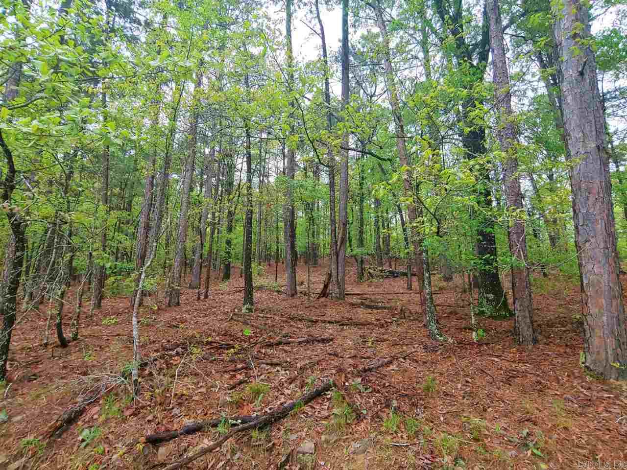 Location, Location, Location! Prime WLR land! 9 wooded, elevated, acres of land on the corner of Pinnacle Valley Rd and Hidden Valley Rd. Almost 1600 feet fronting Pinnacle Valley Road and over 1000 feet on Hidden Valley. Property is NOT in the FEMA flood plain. Close to Maumelle Park, Arkansas River, Two Rivers Park and Pinnacle Mountain. New homes going up in the area. Perfect location to build your dream home. LR zoning R2. Donāt miss out! Schedule your tour today! See agent remarks.
