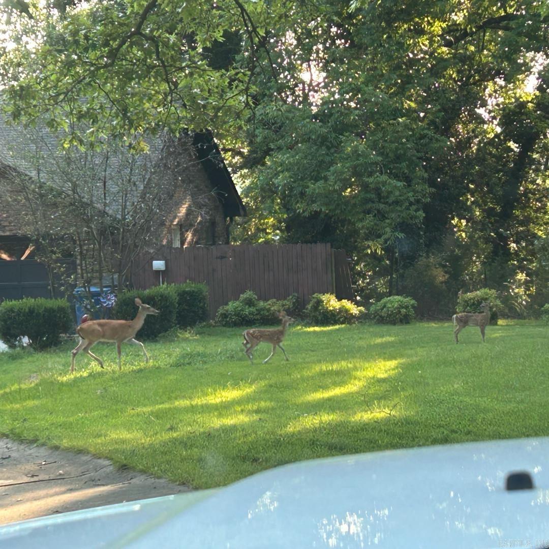 Rosemary Estates - Residential