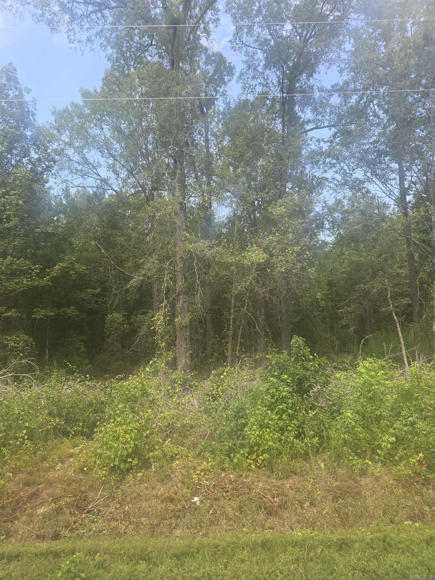 RARE FIND: Three acre wooded lot that offers plenty of privacy but is also conveniently located off of Hwy 65 in between Conway and Greenbrier.