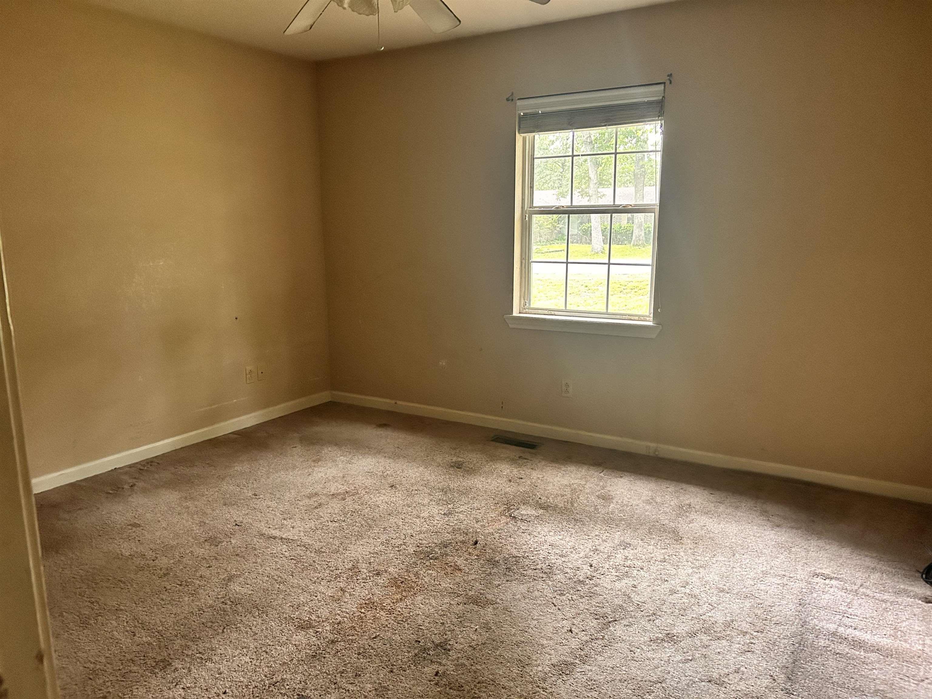 DARK FOREST - Residential