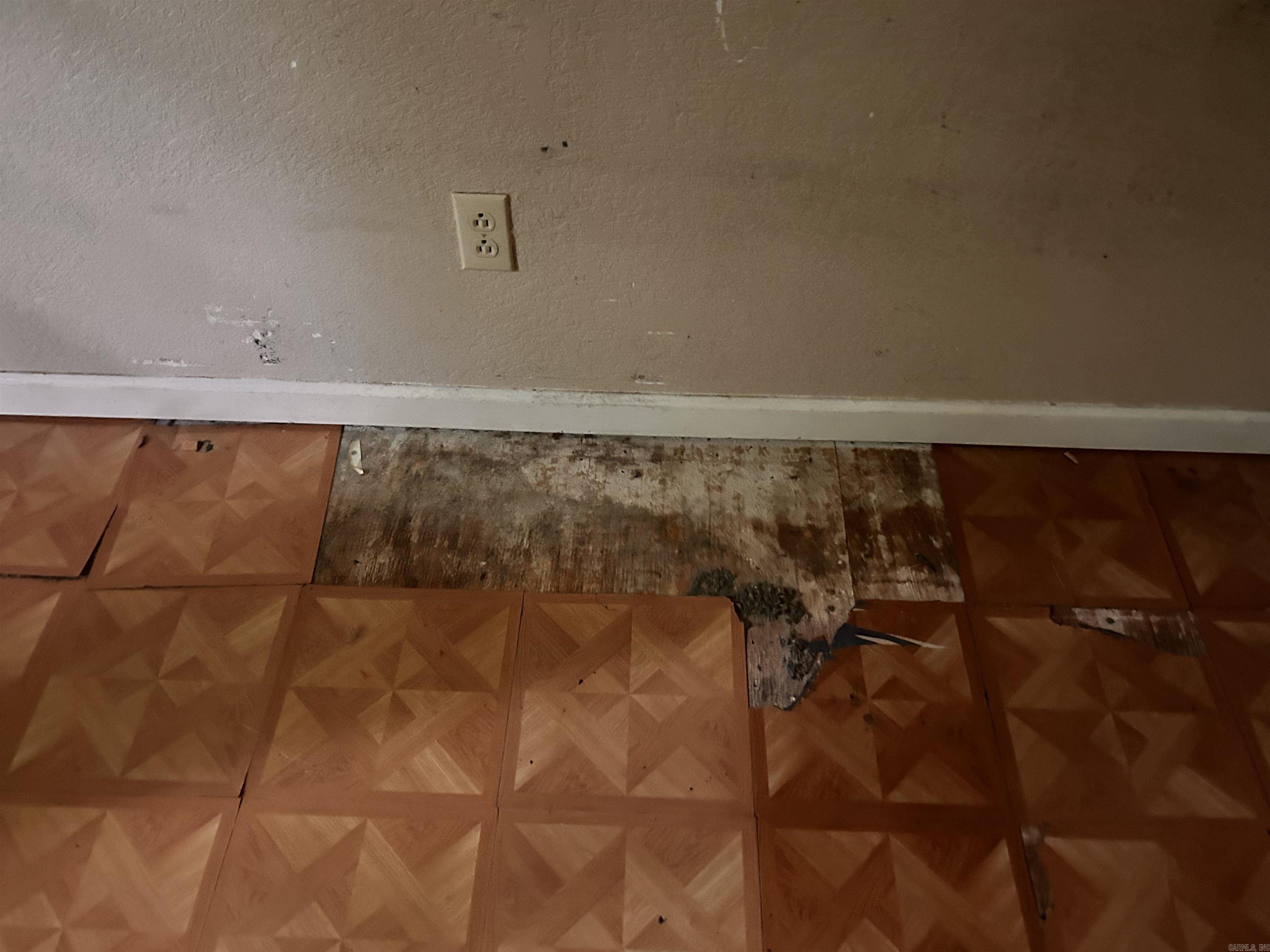 DARK FOREST - Residential