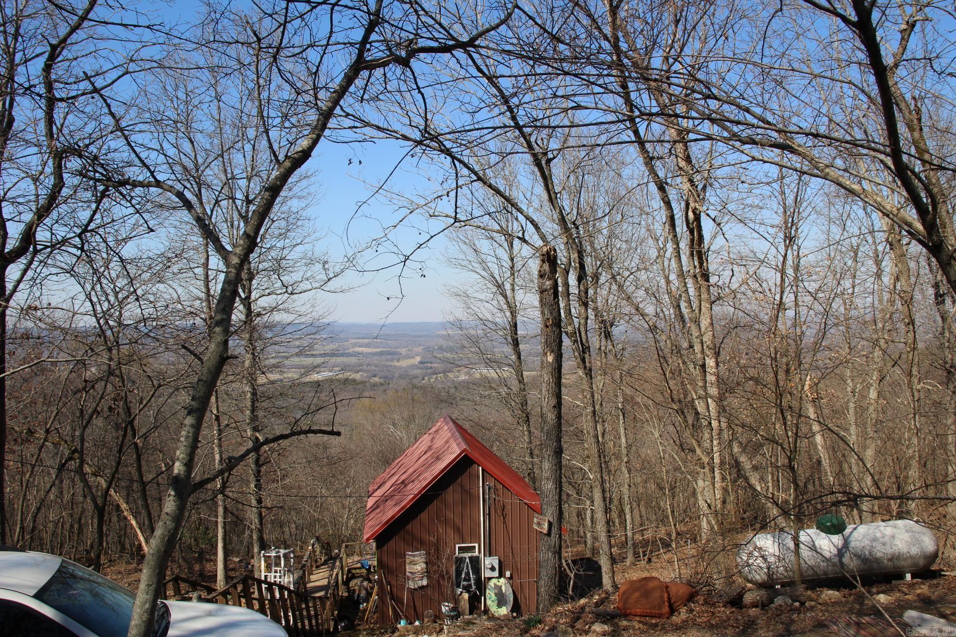 This adorable, secluded cabin sitting on 5.90ac m/l with absolutely beautiful winter view that could be year round with selective clearing. This cabin boasts of open concept with vaulted ceiling. This cabin would be a great permanent tiny home where you could get away from it all or make it a vacation home or even VRBO. This private wooded acreage is loaded with wild life that would please any Deer or turkey hunter, also not far from the Buffalo National River, Famous White River and Bull Shoals Lake. Don't let this one get away!