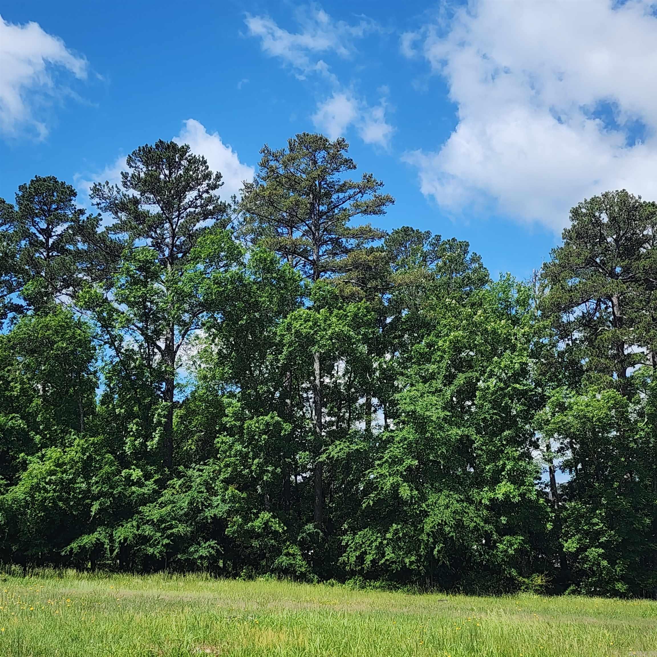 Wisdom Pointe - Land