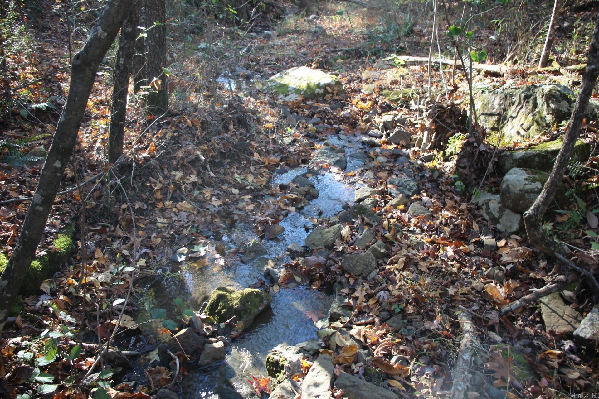 Sportsmanās paradise! 80 acres of timberland with ATV trails throughout that lead to a spring and multiple creeks. Just minutes to the Ozark & St. Francis National Forests that have thousands of acres of riding trails. Property has an abundance of wildlife including bear, turkey, deer, hogs, and some say an occasional elk. Multiple tree stands and game feeders throughout the property. Bring your friends and make it a deer camp or bring the family and set up a homestead. All the luxuries of town with high-speed internet and electricity available but none of the close neighbors.