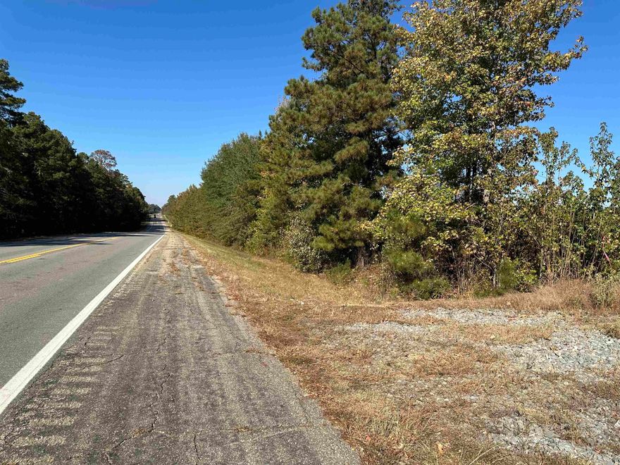 The HWY 425 Tract is located in Ashley County, Arkansas about 2 miles north of Fountain Hill.  Access to the property great from US HWY 425 with about 0.25 miles of highway frontage. About 30 acres is planted loblolly pine established about 3 years ago. The remaining 10 acres is mixed hardwood pine associated with a small creek.   This tracts provides abundant opportunities from a great timberland investment, an ideal place to hunt, and excellent place to build a house. Don’t miss out!! Check on the ‘HWY 425 Tract’ today! Legal Description:  Northeast Quarter (NE 1/4) of the Northwest Quarter (NW 1/4) of Section 20, Township 15 South, Range 7 West, Ashley County, Arkansas, containing 40.00 acres, more or less.