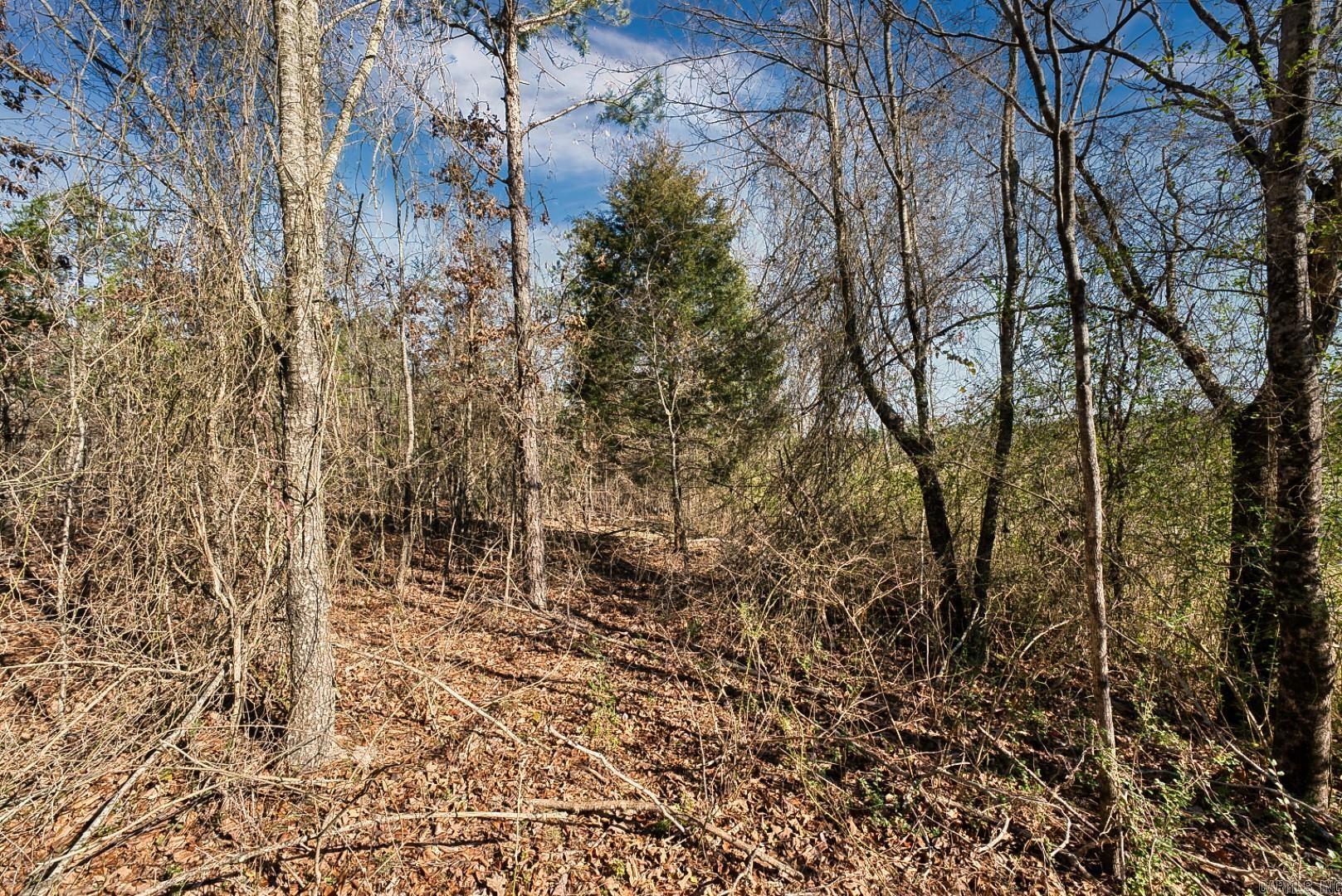 Hot Springs Unplatted - Commercial Sale