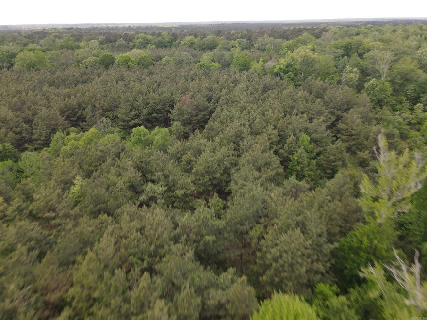 Discover the perfect blend of recreation and investment with this 60± acre tract just outside Hamburg in Ashley County. Located in a sought-after hunting area near the Chemin-A-Haut Creek corridor, this bottomland property offers excellent habitat at an affordable price point.  A large creek runs through the property, creating a natural travel corridor and seasonal flooding that enhances wildlife habitat. This supports strong populations of deer, turkey, and hogs, with potential for seasonal waterfowl hunting. A mix of hardwoods and thick cover provides excellent bedding and feeding areas.  The property is ideal for a private hunting retreat, weekend getaway, or timber investment. Its manageable size offers easy maintenance while still providing ample room to hunt and explore.  With legal access and a convenient location near Hamburg, the tract is easy to reach and ready to enjoy.  Tract 2 Co-listed with Compass South, Inc.