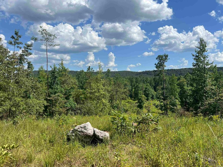 This is a rare find for serious hunters or those just looking to escape into nature. Your private hunting cabin and pond on 16 acres+/- is all set up and waiting-just for your next adventure. Just bring your gear, and wake up each morning to a breathtaking view just outside your window. This off- grid camp offers the perfect balance of seclusion and comfort. It features solar lighting and hookup for your generator.