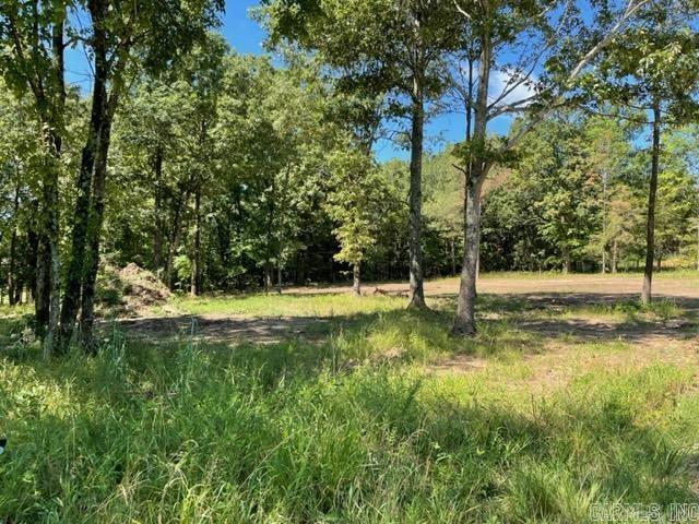 Great residential building lot located in the highly desirable Hidden Oaks Subdivision. This lot is located at the back of the development and is a great location to build your dream home. Bill of Assurance and restrictions apply to this subdivision