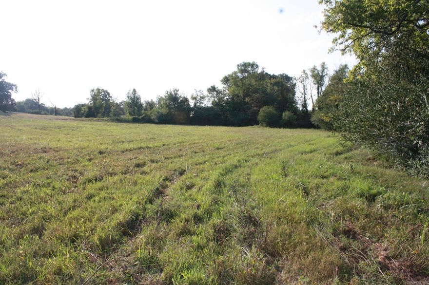 Approx. 132 acres of pastureland located on Longview Road approximately 10 miles from Nashville.  Property has two ponds and a deep well that feeds several concrete water troughs.  Large equipment shed or could be used as a hay barn.  Surrounded by private land owners with several building sites that includes a beautiful view of the property.  A small creek also runs through the property.  Approximately 10-15 acres of timber on northwest corner of the property.