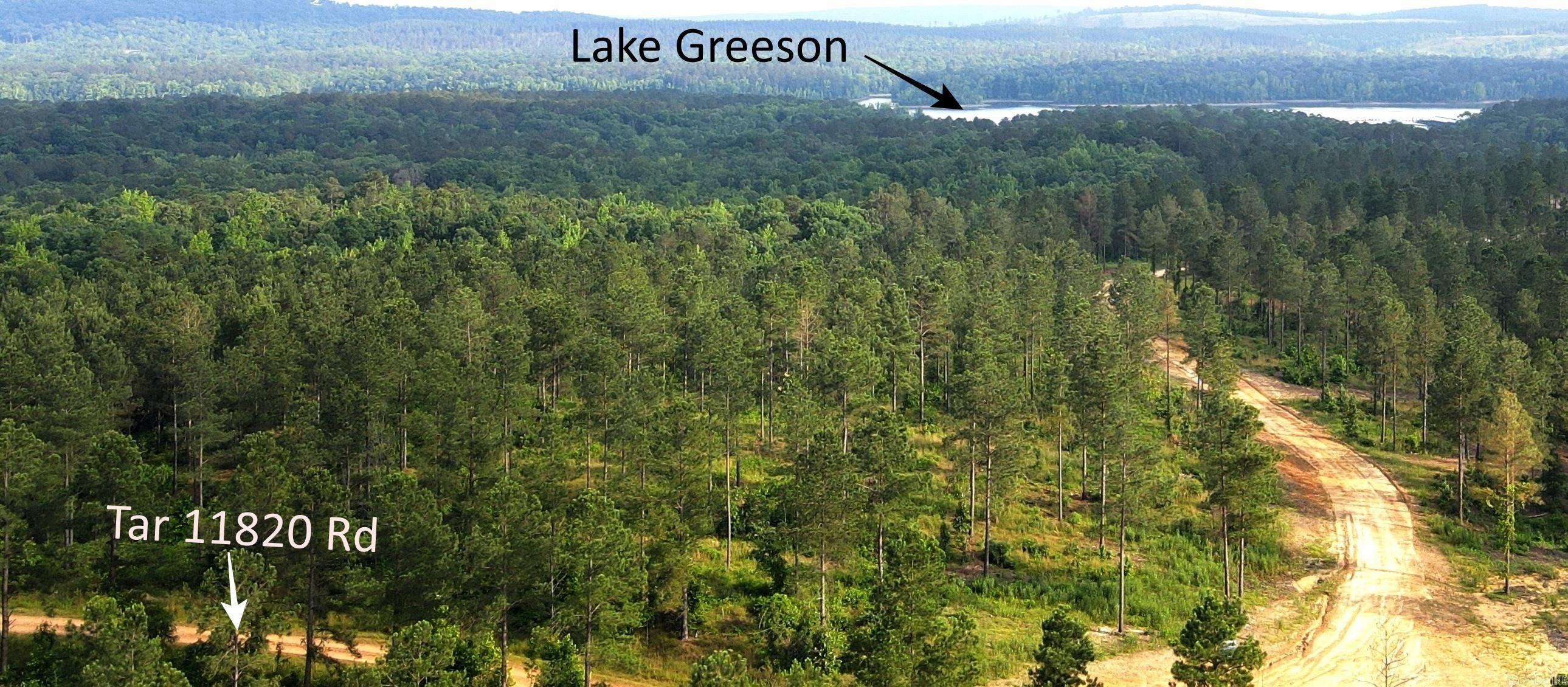Lot 44 in The Plantation at Lake Greeson is near Kirby Landing Marina. A new gravel road provides access while municipal water, electricity, internet, and deed restrictions serve to protect the value and enjoyment of the property. U.S. Highway 70 and Kirby Landing Road are less than 1 mile away allowing quick access to nearby cities. Bear Creek Cycle ATV Trail begins at nearby Daisy State Park offering 31 miles of trails along the shoreline of Lake Greeson. The property is ideal for short term rental investment or residential homesite.