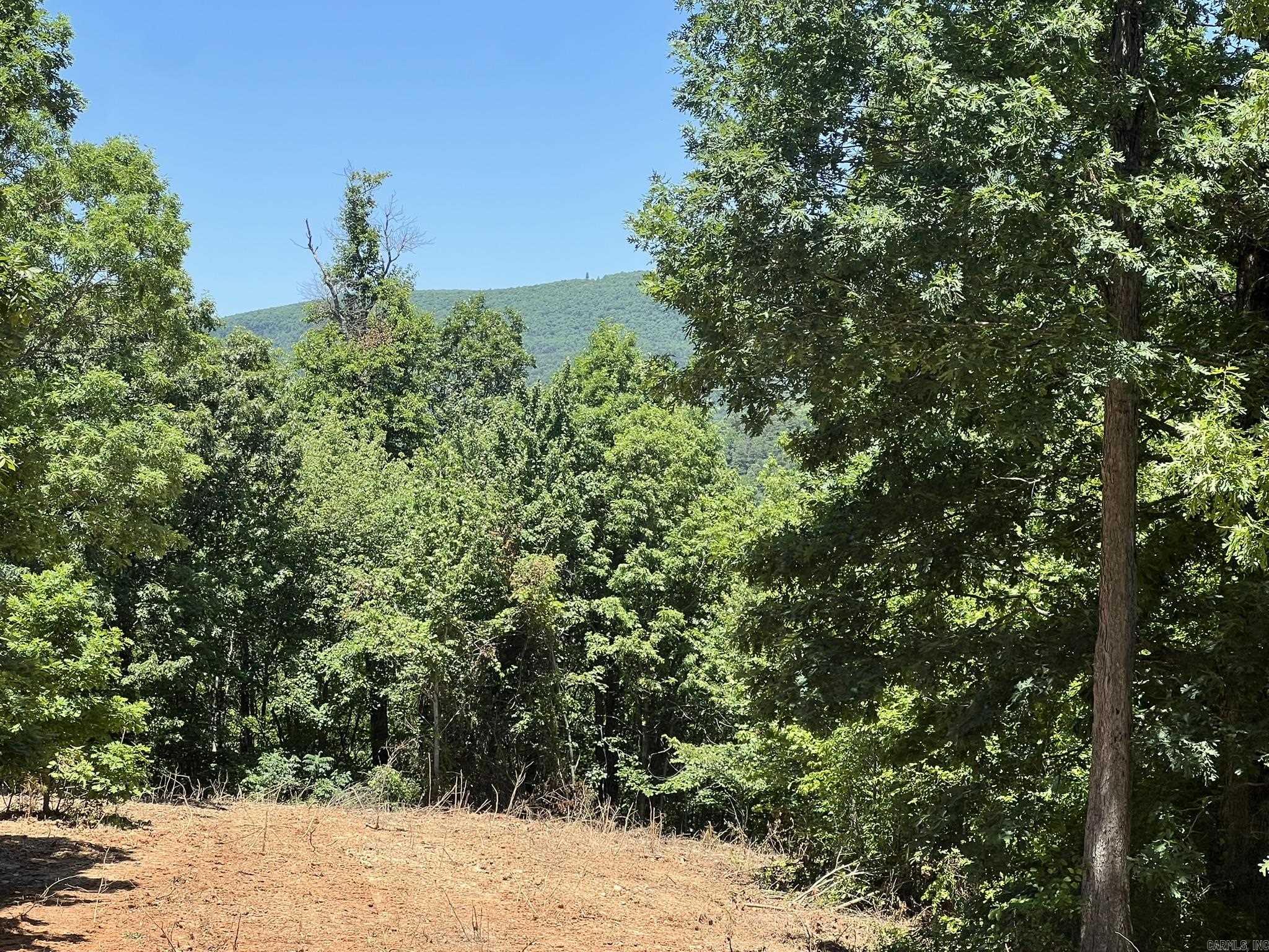 Gorgeous 73.26 acre mountain property with natural springs running thru it, with wild ferns and berries galore. Lots of timber and hardwood. There is a clearing on top of the mountain that over looks a pond and is the perfect building spot with panoramic mountain views. Also joins the National Forest! Private road, the most peaceful setting you'll find - just a few minutes from Mena. The landscape showcases all the flora and fauna that make our area unique, including impressive rock faces and large boulders, adding to the character of the property. Wildlife is abundant, including deer and bears! Make this your private home, build cabins, build trails or use it as a hunting retreat. The possibilities are endless!! Unique large pieces of acreage this close to the Mena city limits don't come around often - don't miss out! See it today!