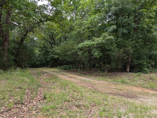 KIMBERLY DR, WILLIFORD, AR 72482 - Image 27e51e5cf3ef86670e69c4e97a196906/2741122560