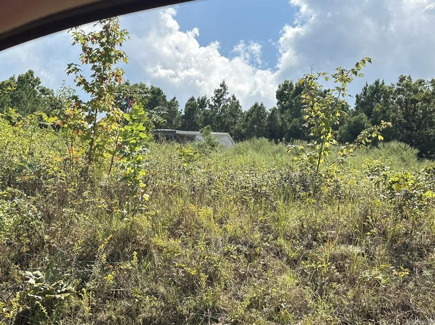 Property currently being run through online Auction site, check agent/conf. remarks section for into. The list price is not indicative of seller's final reserve amount. This property is part of an online bidding event; please visit Auction site to place bids. Inspections of this property and contact with occupants are strictly prohibited. Property is sold "as is" and no for sale sign allowed. Occupied, with no  access.  Cash offers only. **Agents please READ agent/confidential remarks section for additional information and showing instructions** SqFt and lot size are per tax records, but not guaranteed. Buyer should do their due diligence in verifying info. Property is occupied, sold as-is.  Property is about 3.5-4 miles past the locked gate at end of Pool Hollow Rd/Ln, if gate is not opened, we have no access to drive to property.  Road gets very rough and very steep beyond the gate, need 4 wheel drive to get to property.  Do not go on property and do not disturb occupant.