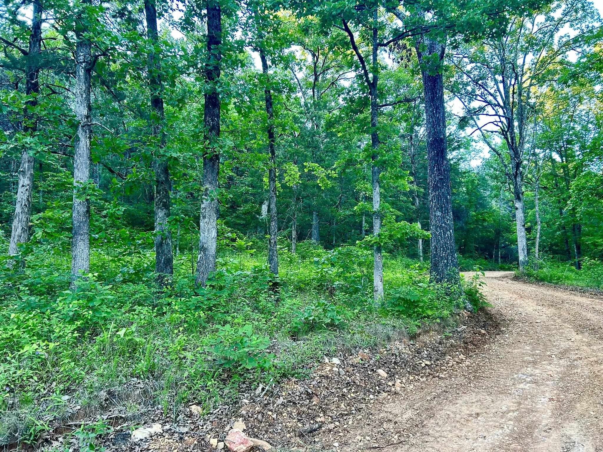 Ripplin Shoals Ridgetop - Land