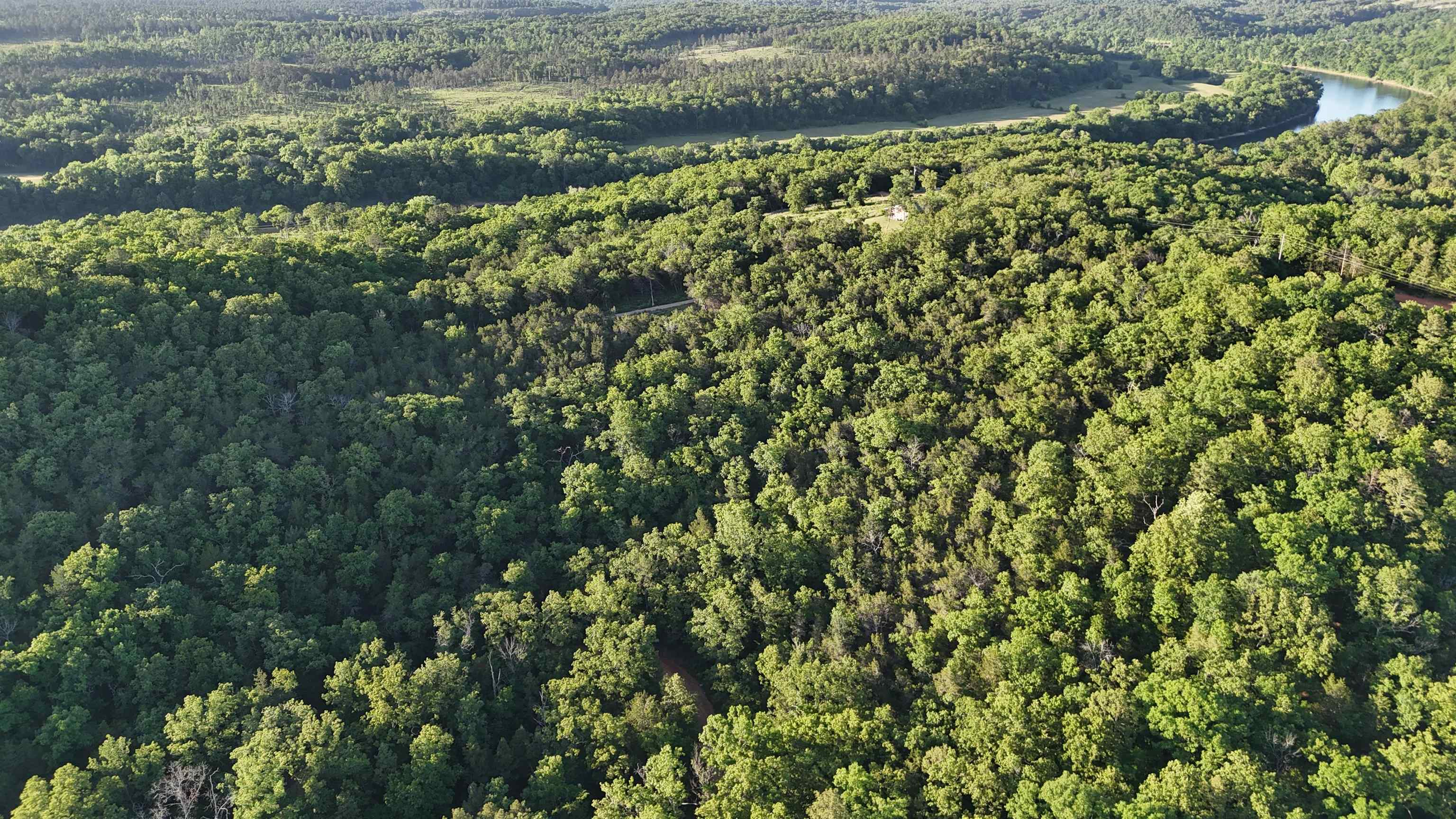 Ripplin Shoals Ridgetop - Land