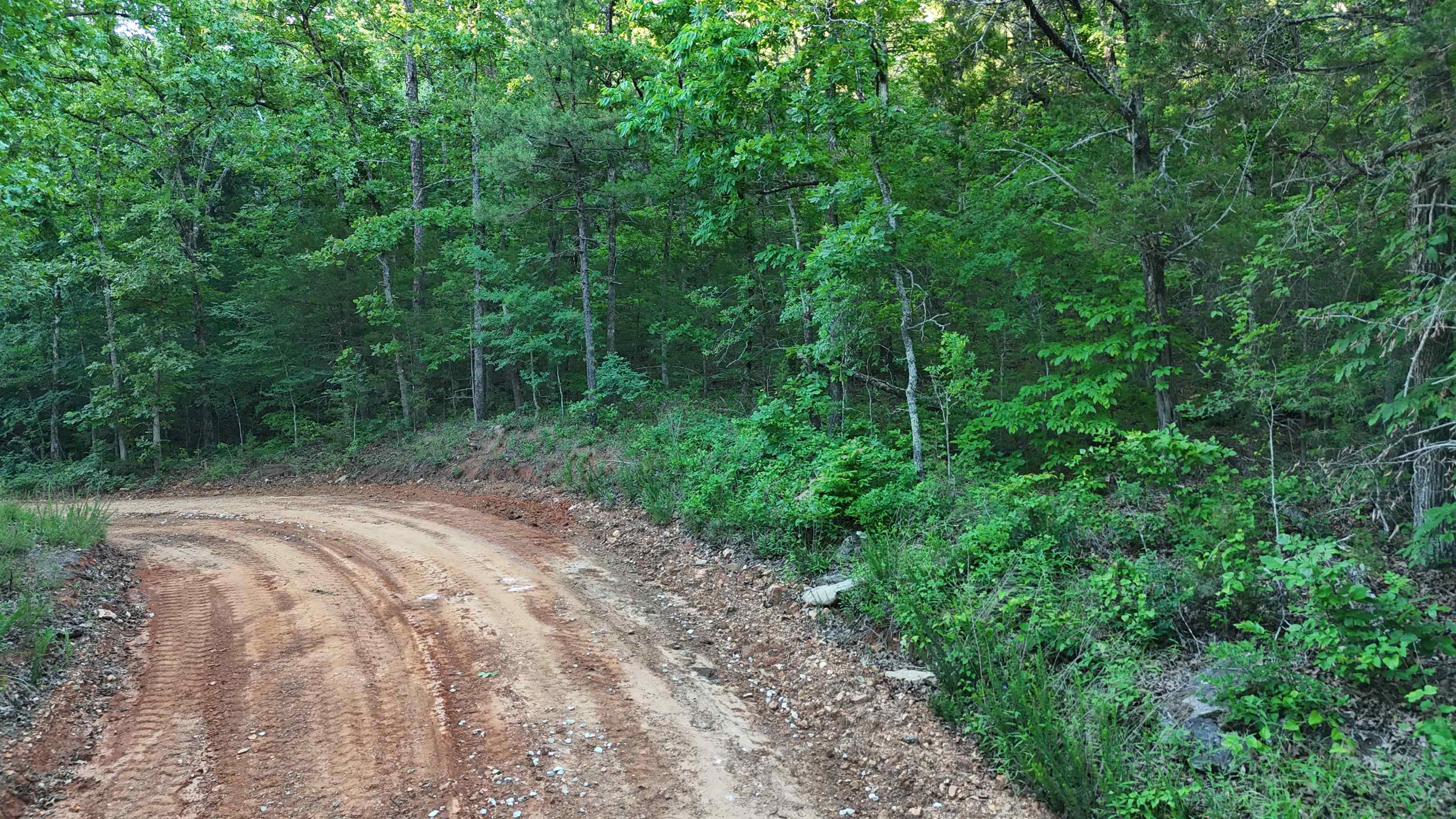 Ripplin Shoals Ridgetop - Land