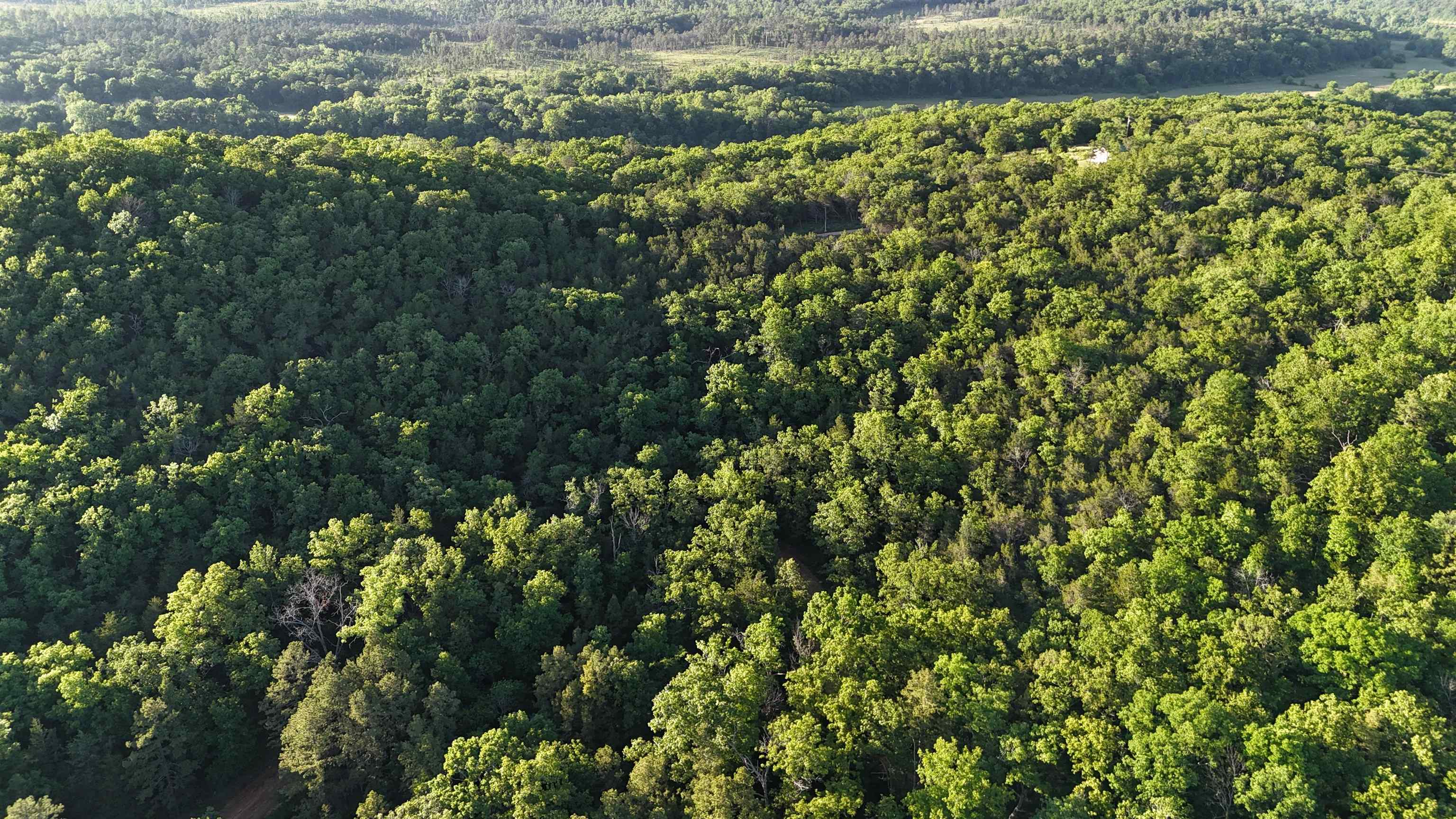 Ripplin Shoals Ridgetop - Land