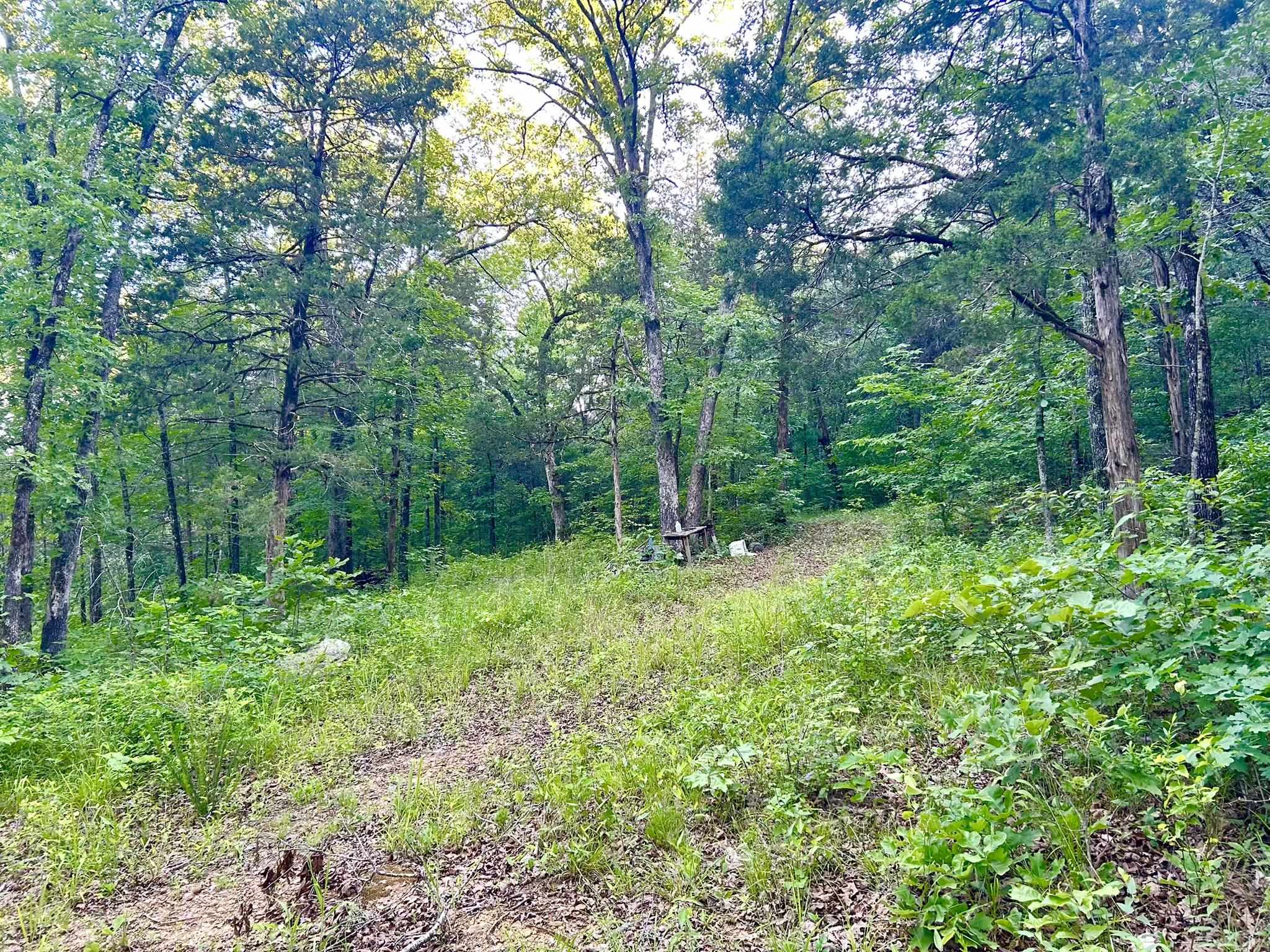 Ripplin Shoals Ridgetop - Land