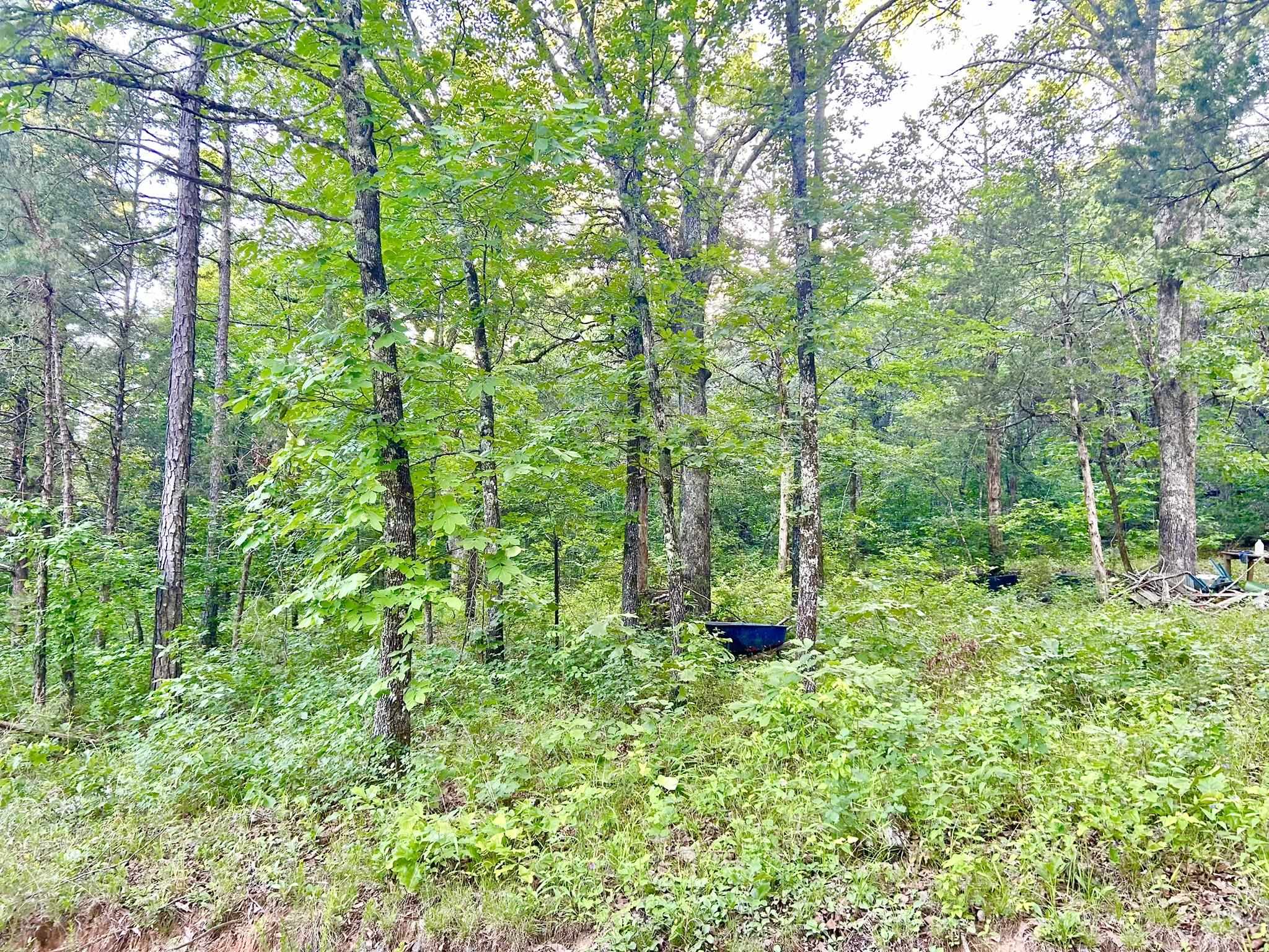 Ripplin Shoals Ridgetop - Land