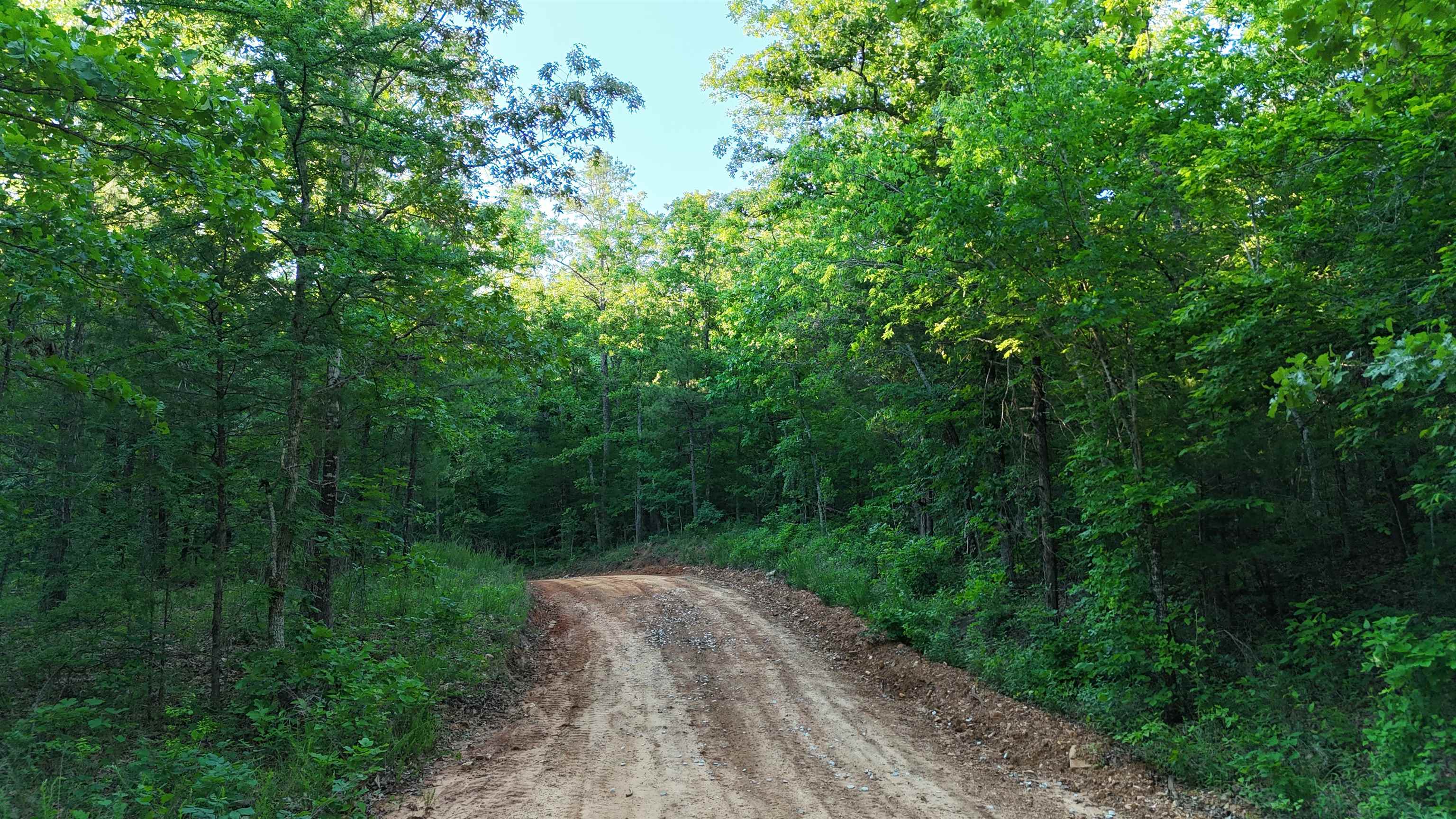 Ripplin Shoals Ridgetop - Land