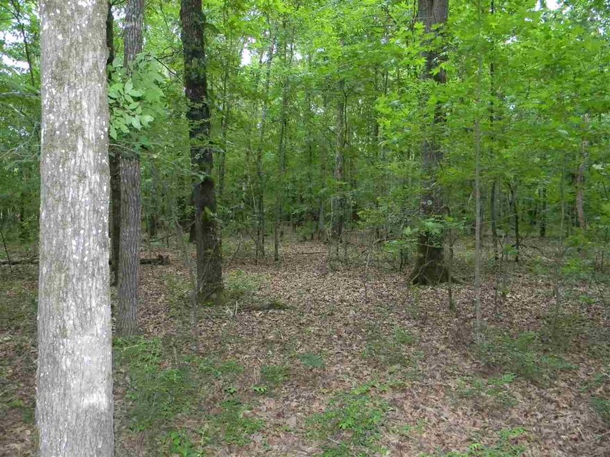 This is the perfect place to build your dream home!! Beautiful timber land.  Utilities available. Highway frontage.