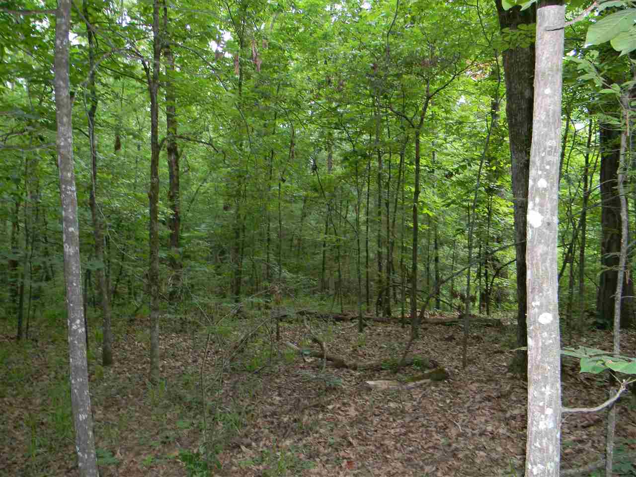 METES & BOUNDS - Land