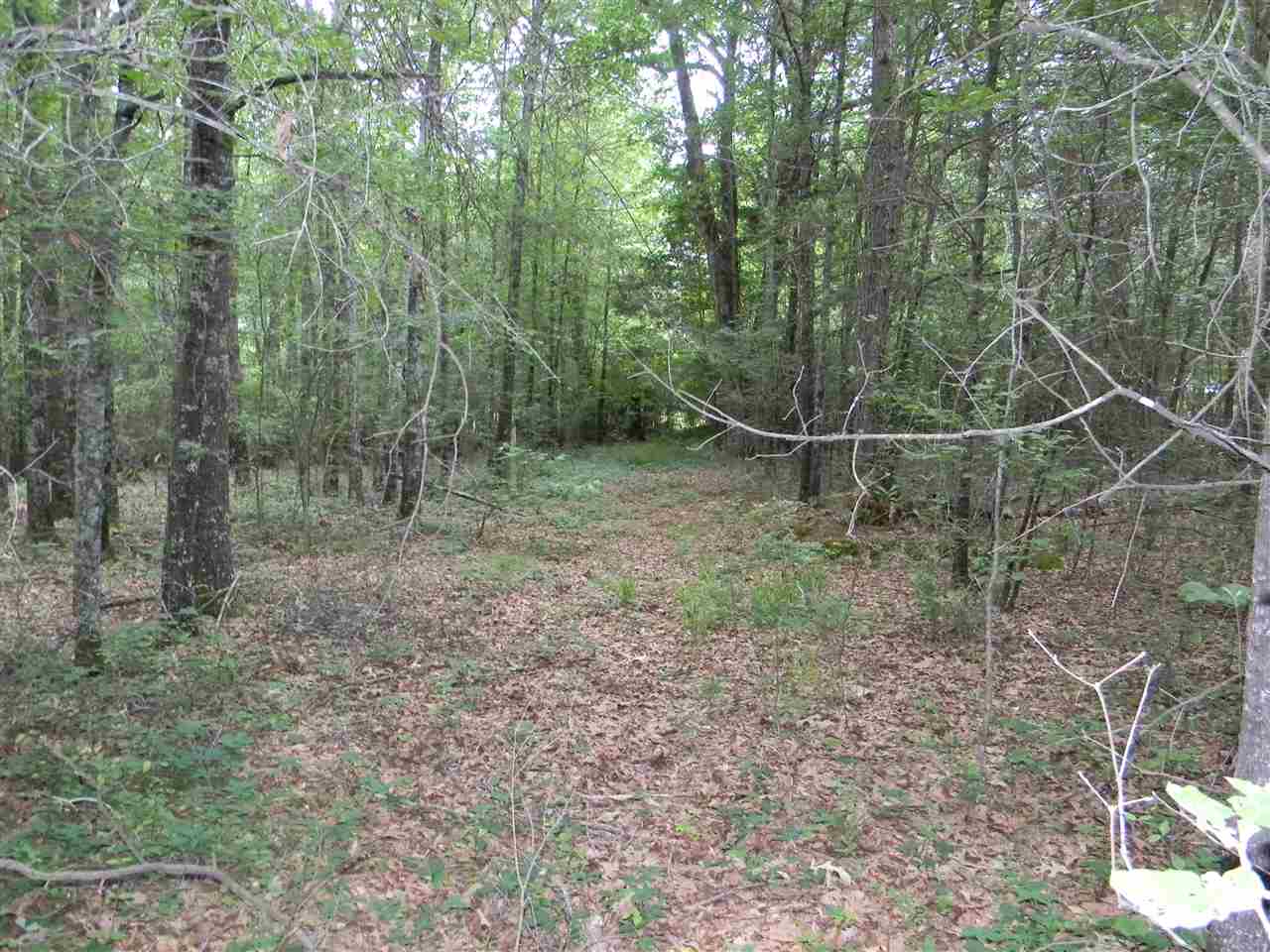 METES & BOUNDS - Land