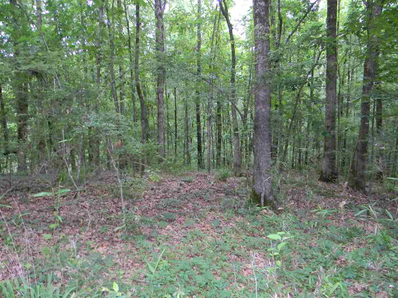 METES & BOUNDS - Land