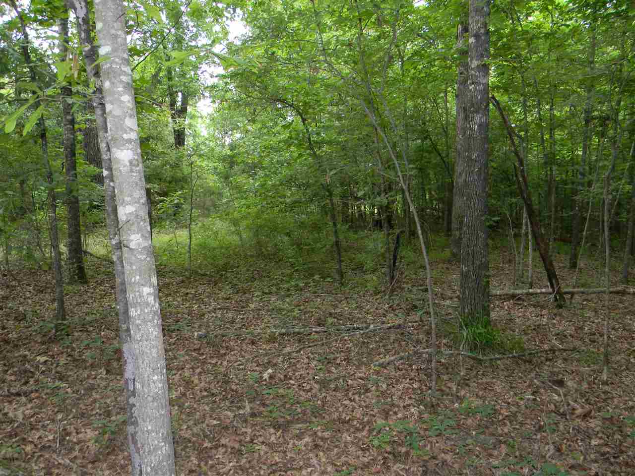 METES & BOUNDS - Land