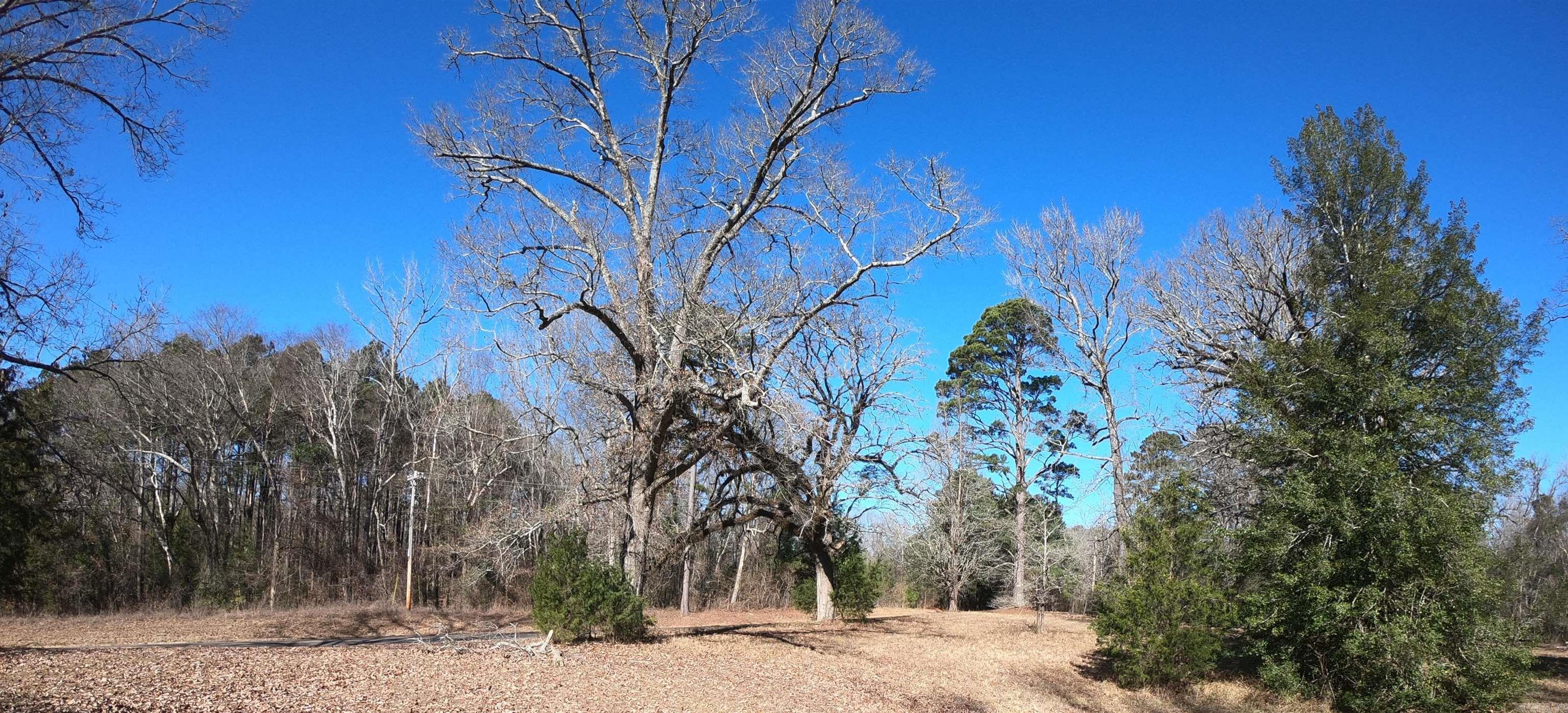 ARKADELPHIA REAL ESTATE - Farm