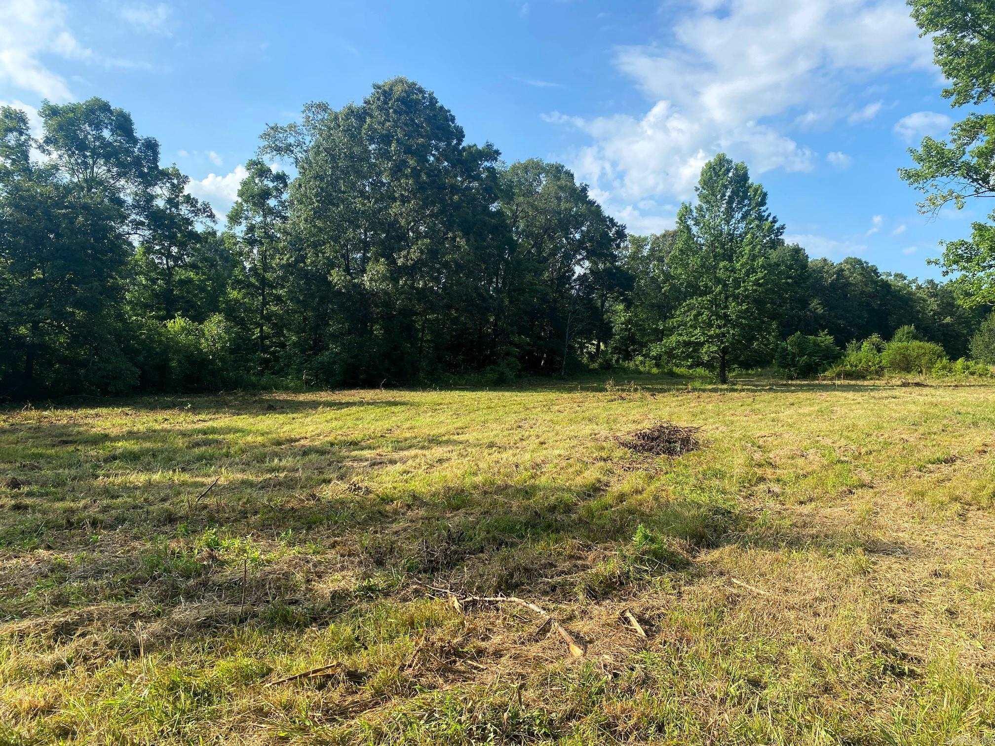 White - Land