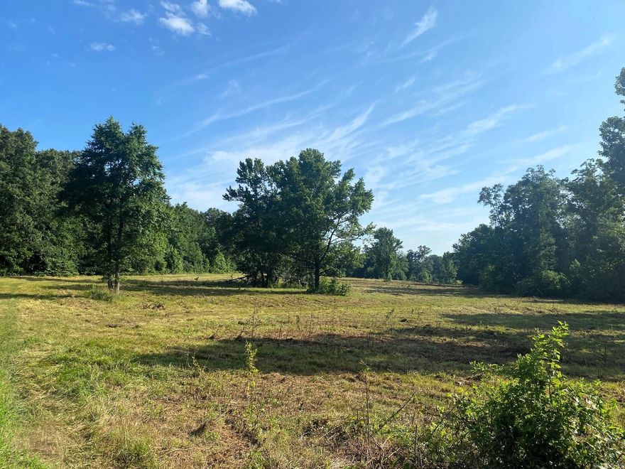 Beautiful 32 +/- acres featuring rolling hills, mature oak trees, a nice-sized pond, and tree-lined privacy all around. Enjoy wildlife right out your back door while still having paved road and utilities available at the road. The perfect place to build your dream home outside the city limits.  Restrictions apply: no mobile homes or barndominiums. Minimum 2,200 sq ft heated/cooled living space required.