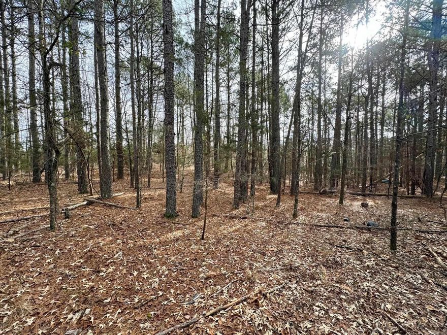 8 acre wooded parcel in Bonnerdale, AR.  Some utilities available at the street.