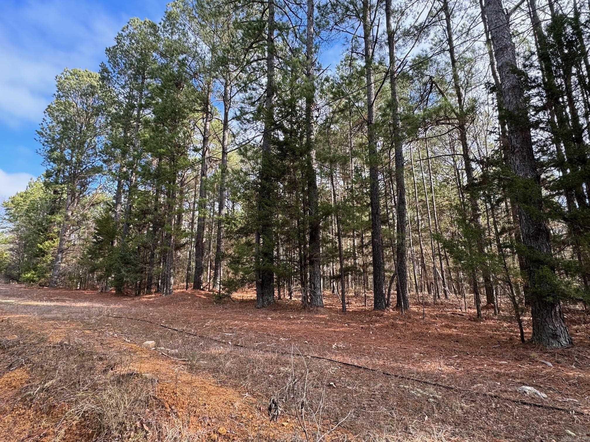 Not in Subdivision - Land