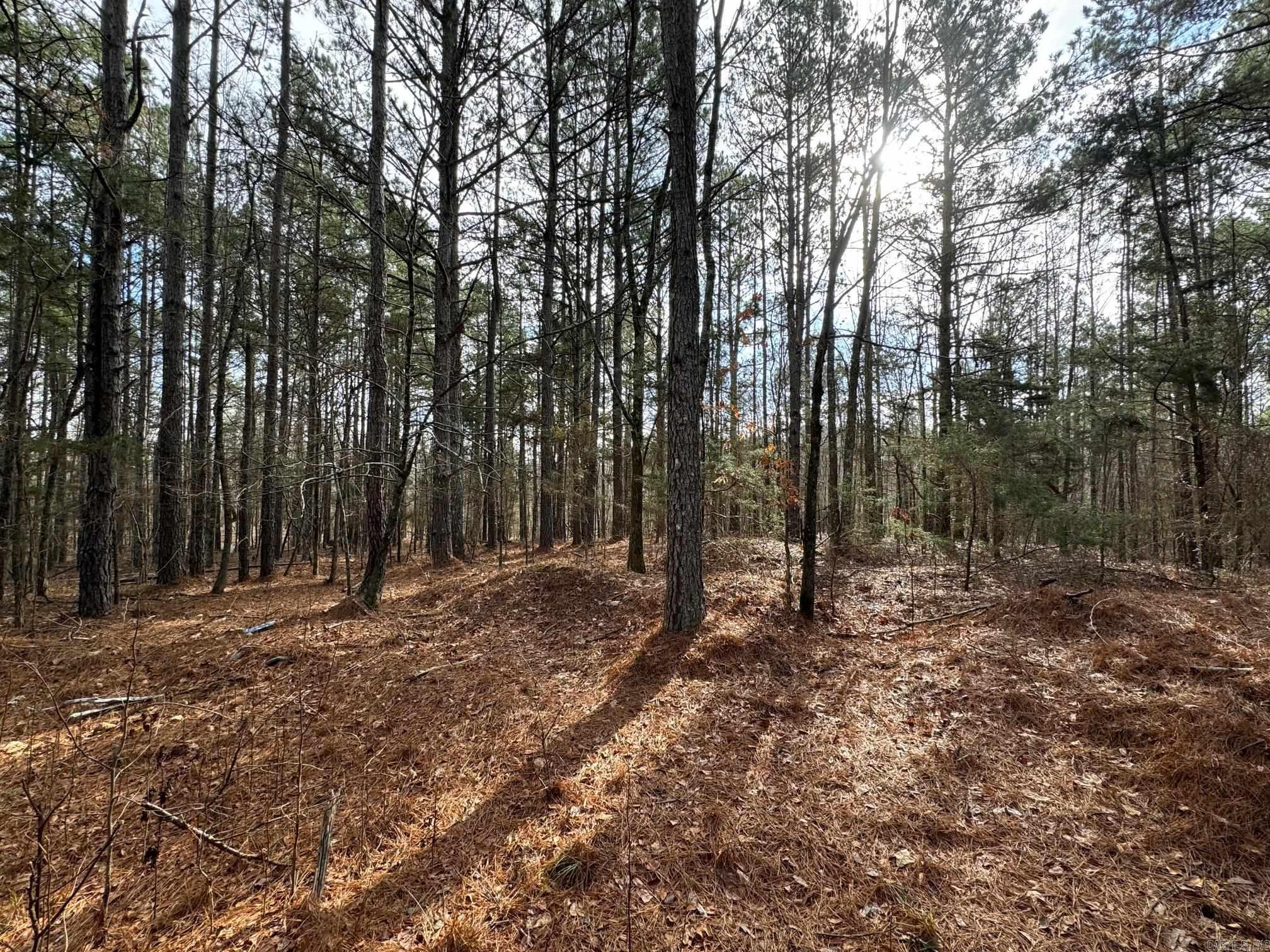 Not in Subdivision - Land