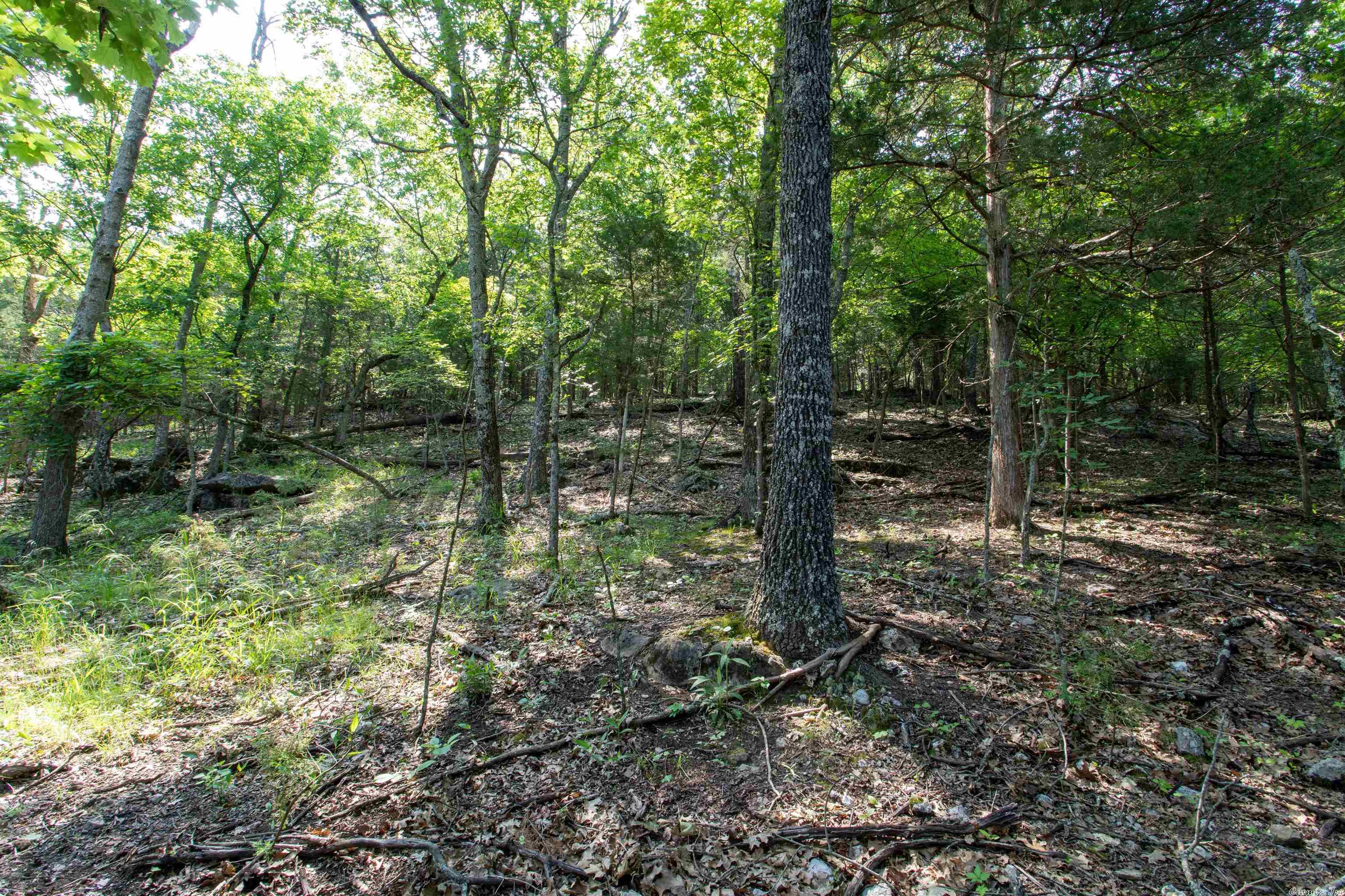 Century Springs 2 - Land