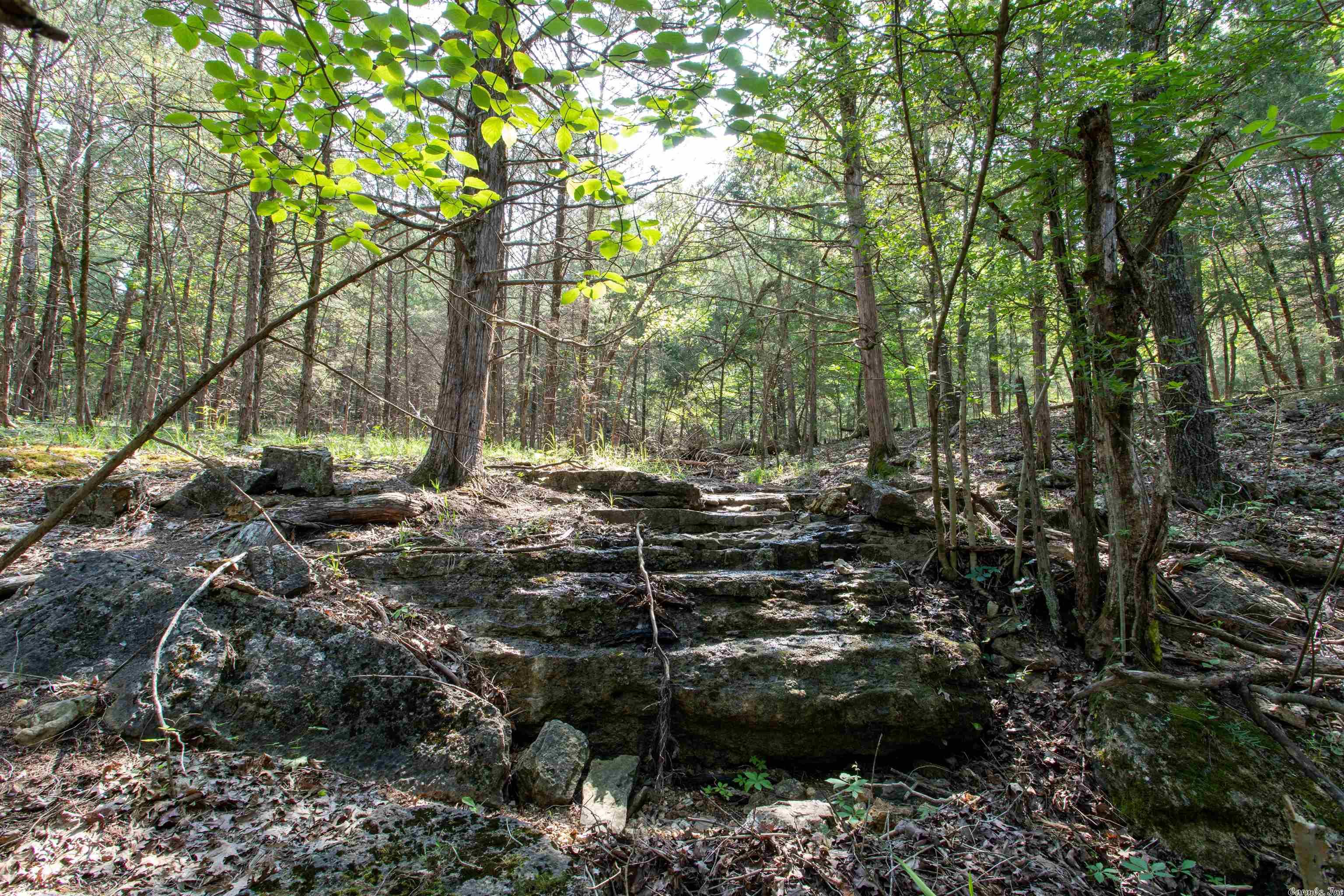 Century Springs 2 - Land