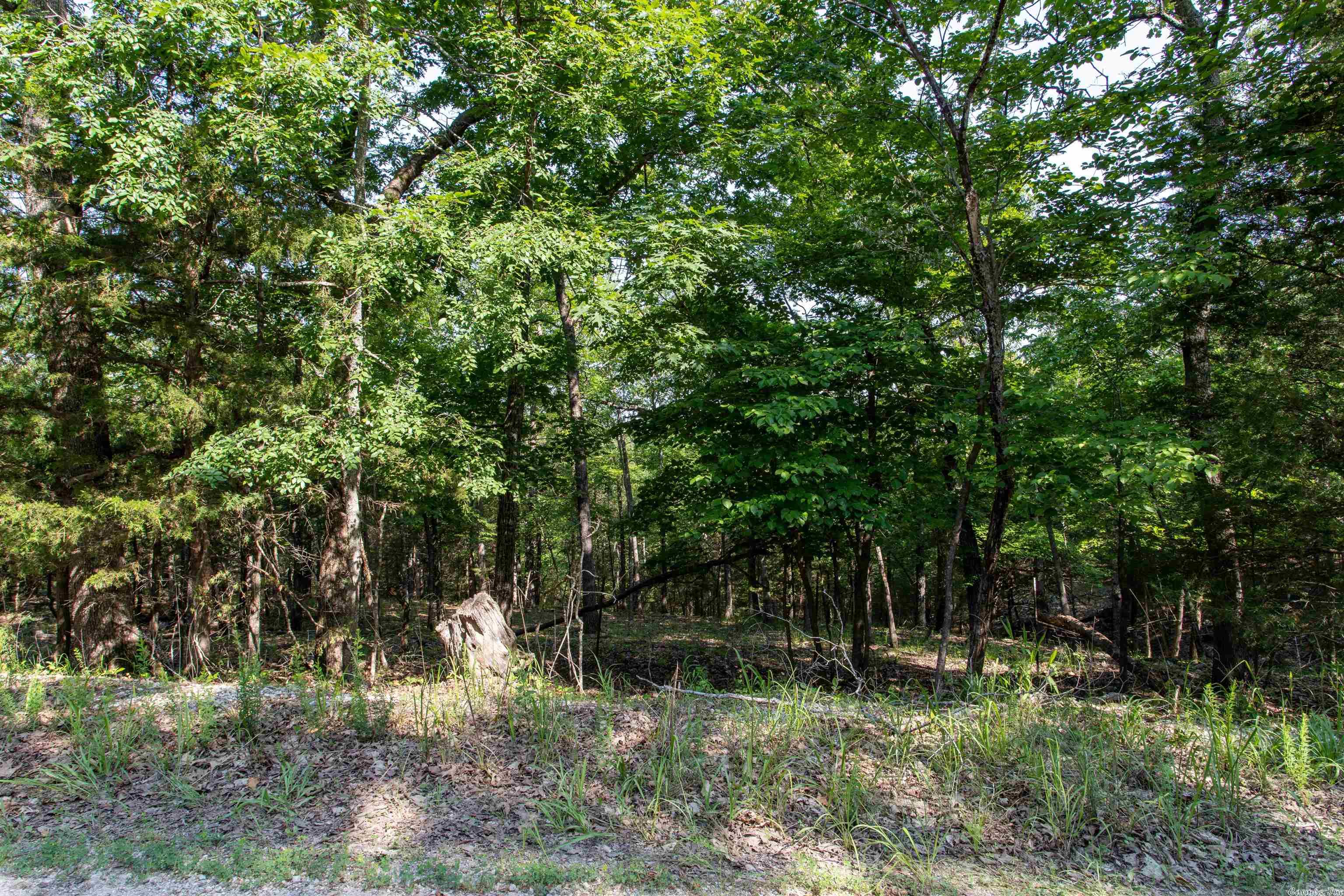 Century Springs 2 - Land