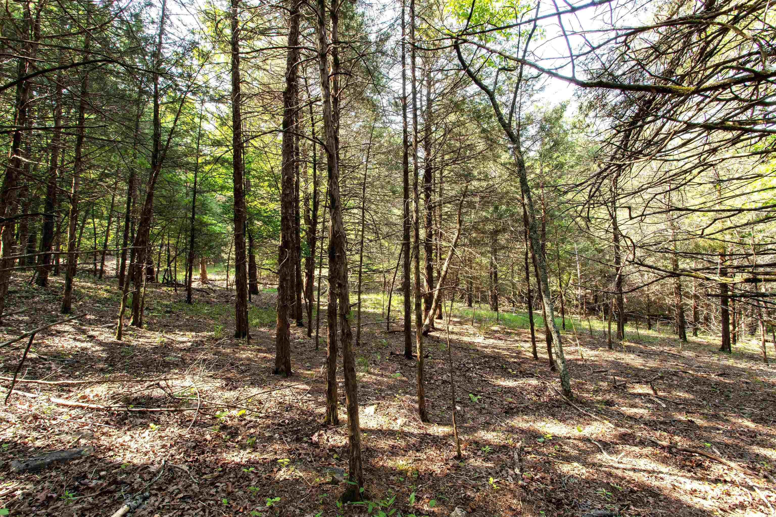 Century Springs 2 - Land