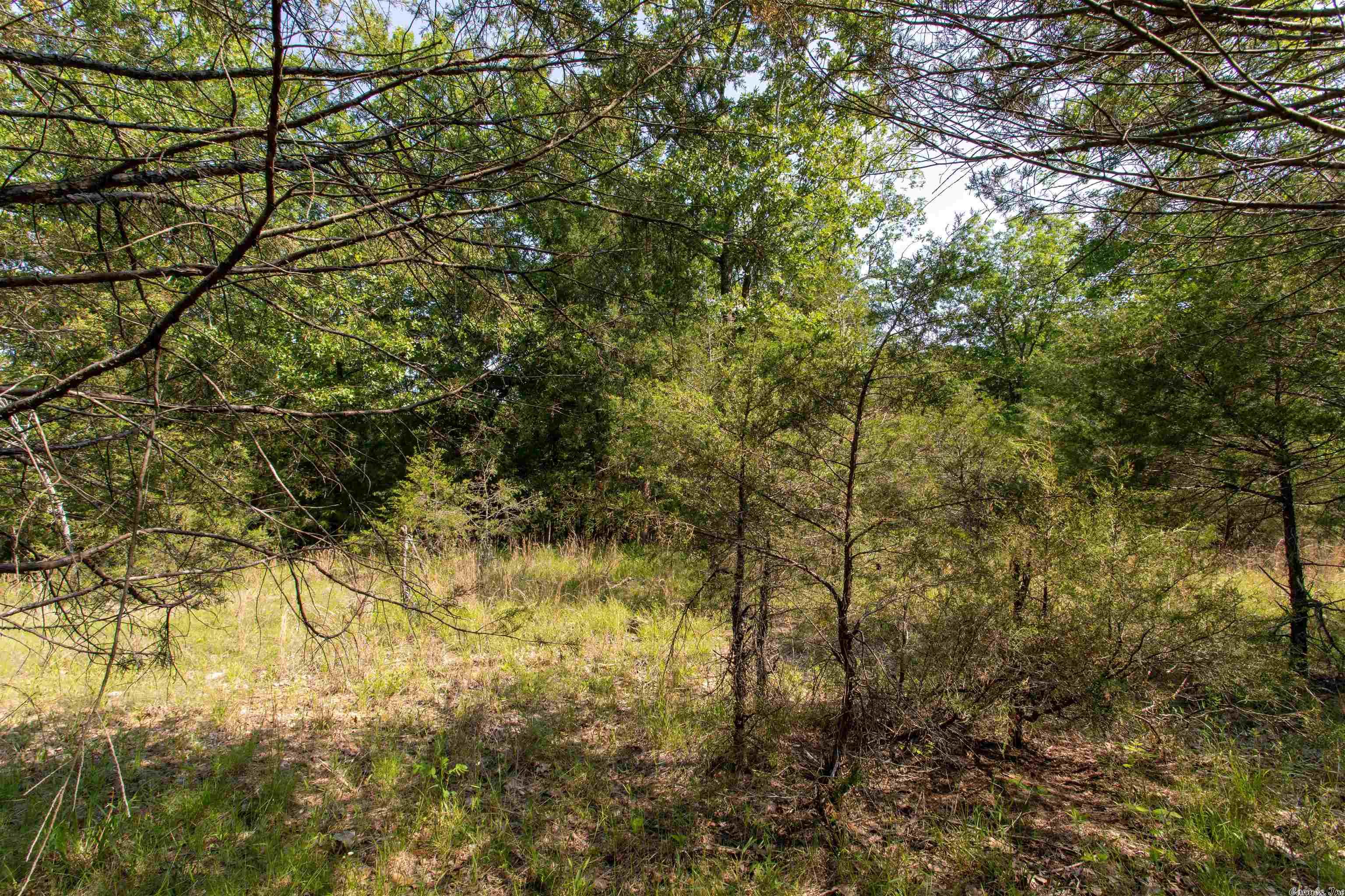 Century Springs 2 - Land