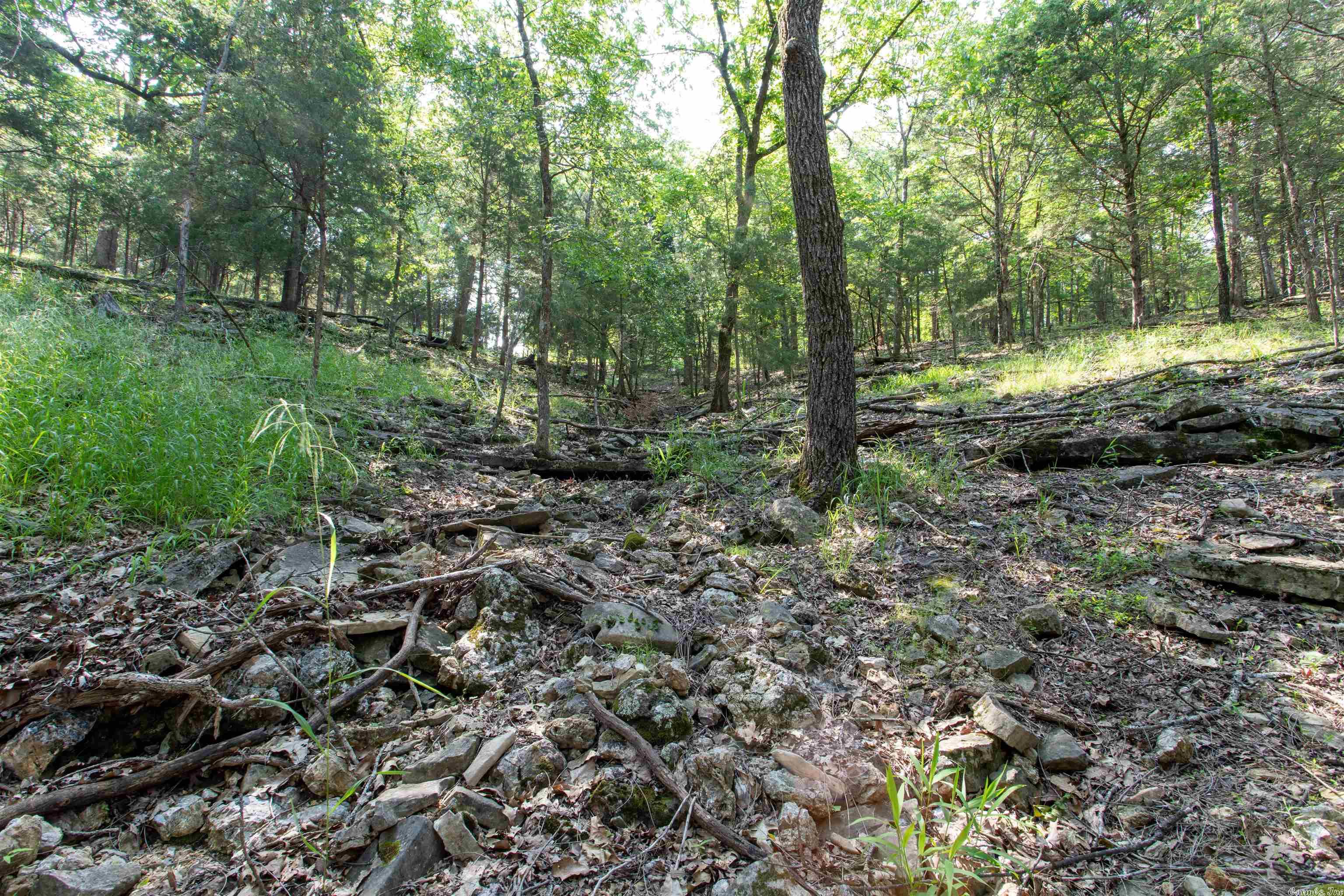 Century Springs 2 - Land